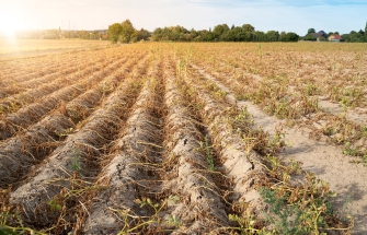 Amendement ISO & klimaatverandering 