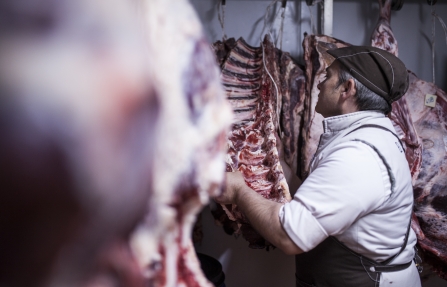 Het takenpakket van een Welfare Officer, een functionaris voor het dierenwelzijn.